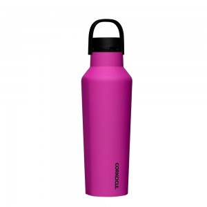 Berry Punch Corkcicle 20oz Series A Sport Canteen Insulated Water Bottle | NBYZO-4960