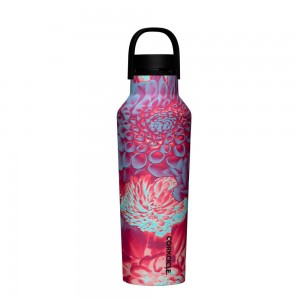 Dopamine Floral Corkcicle 20oz Series A Sport Canteen Insulated Water Bottle | ISFJX-3256