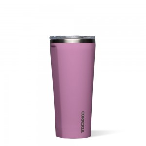 Gloss Orchid Corkcicle 24oz Classic Tumbler Classic Stainless Steel Drink Tumbler Cup | FQXZA-2719