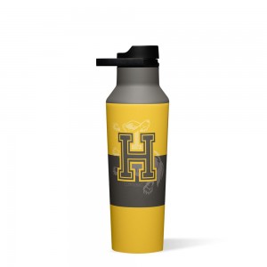 Hufflepuff Corkcicle 20oz Harry Potter Sport Canteen Insulated Water Bottle | UCPNQ-7246