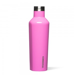 Miami Pink Corkcicle 16oz Classic Canteen Water Bottle | CMUSE-8436