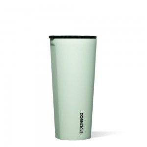 Sage Mist Corkcicle 24oz Sierra Tumbler Insulated Tumbler Cup Cup | DJVNE-4038