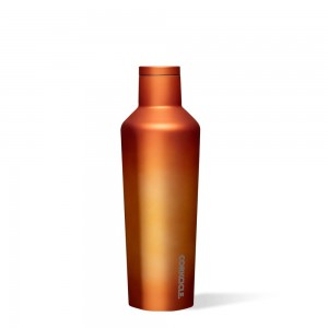 Solar Flare Corkcicle 16oz Dragonfly Canteen Water Bottle | FXDIE-3504